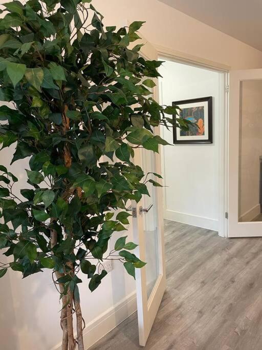 Stunning And Spacious 2Bed Flat In Central Woking Exterior foto